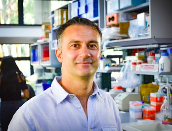 Tigem Telethon (@tigem_telethon) on Twitter photo #JobOffer #ResearchFellowPosition in Paolo <a href="/grumati/">Paolo Grumati</a>'s Lab
What👉Study of molecular mechanisms of GLUT1 translocation to the plasma membrane. Exploiting state of the art cell biology, imaging & mass spectrometry proteomics
Where👉<a href="/Tigem_Telethon/">Tigem Telethon</a>
More info👉tigem.it/newsroom/caree… #JobOffer #ResearchFellowPosition in Paolo <a href="/grumati/">Paolo Grumati</a>'s Lab
What👉Study of molecular mechanisms of GLUT1 translocation to the plasma membrane. Exploiting state of the art cell biology, imaging & mass spectrometry proteomics
Where👉<a href="/Tigem_Telethon/">Tigem Telethon</a>
More info👉tigem.it/newsroom/caree…
