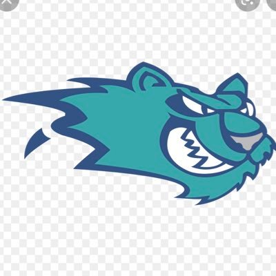 trav_is_jackson's tweet photo. I'm very excited to report @ice_catshockey is the third team to submit their 2022-2023 schedule for the newly created Section 1 HS Hockey website! Coming soon! Stay tuned! #SectionOnePucks 🏒👍🏾 https://t.co/C5YLNyevOh
