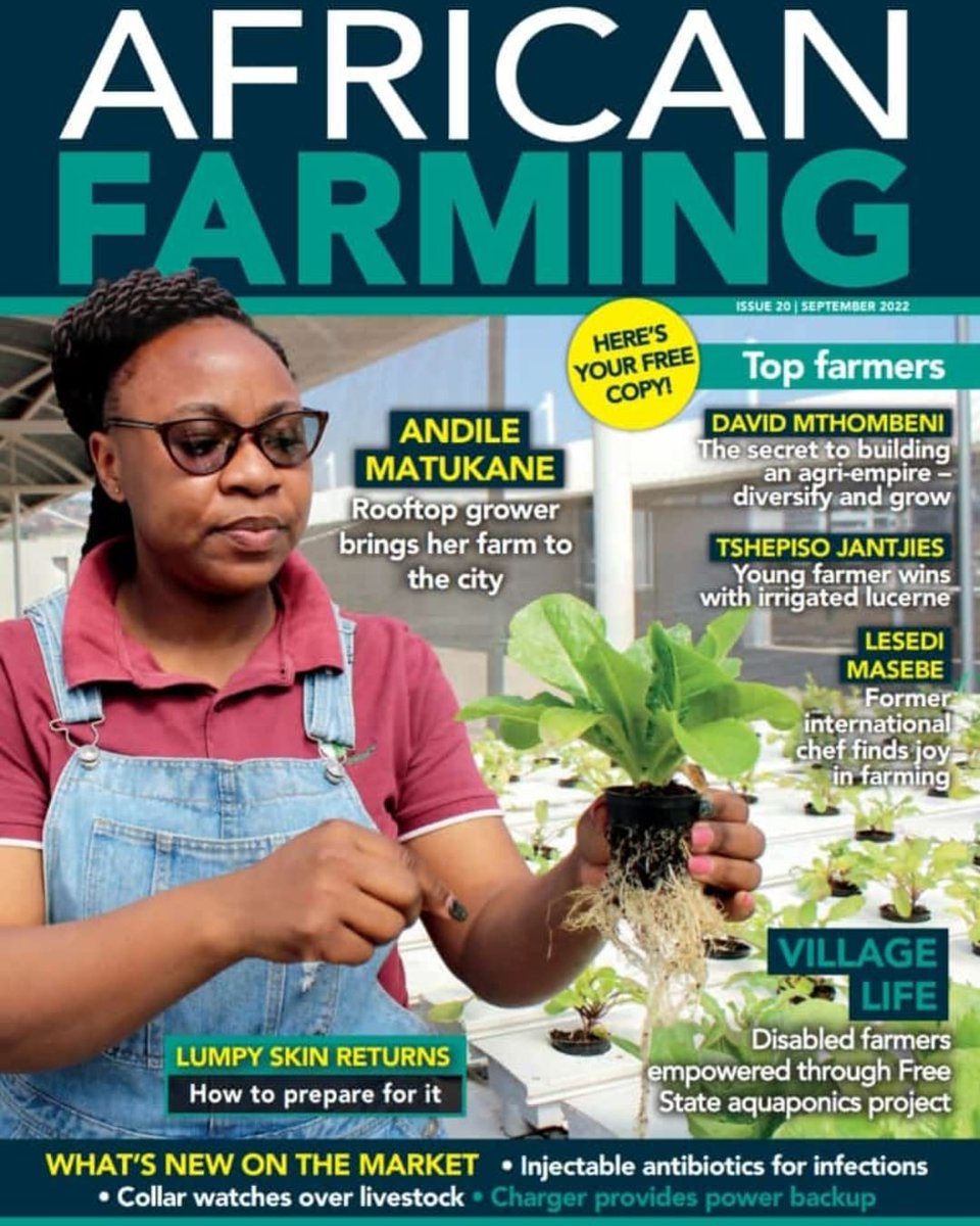 IpelengKwadi's tweet photo. @ndile_mat  my friend congratulations Cover Girl 👌 https://t.co/g3YNi09R2y