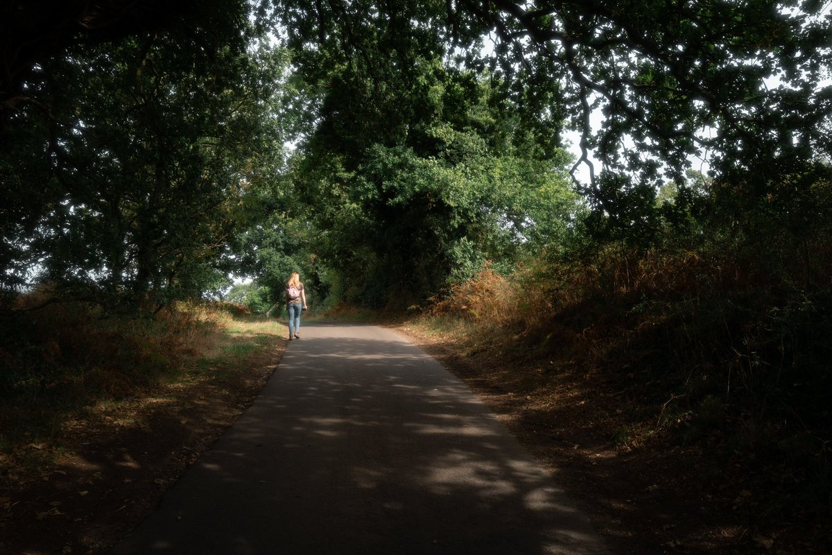 DanJFly's tweet photo. Woodland walks, Autumn is coming!
#leica #LeicaQ2 #ThePhotoHour #photography #photographers #woodland #norfolk https://t.co/RqJzJuHhQQ