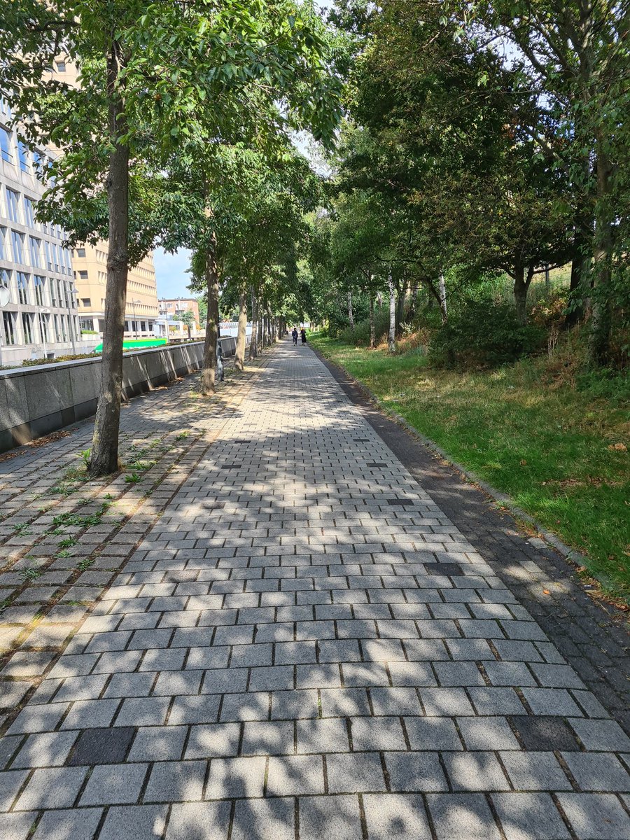 edin mujagic tweet media