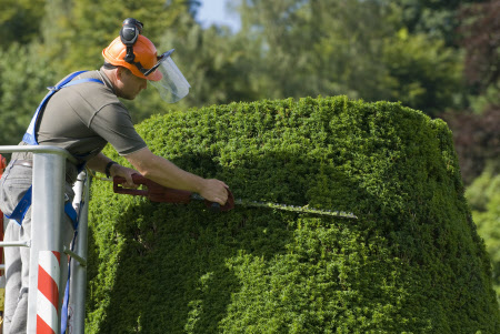 We are looking for a new Head Gardener to manage the varied, 30-acre Lanhydrock garden set in the beautiful Cornish countryside. Do you know someone with a high level of horticultural knowledge and experience of managing a large, diverse garden? bit.ly/3TI05Zg