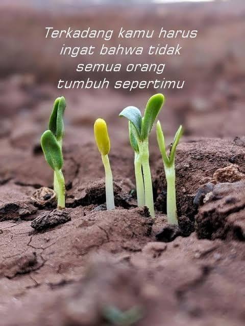 iswanArpen's tweet photo. Nothing To Lose https://t.co/42aXN6lch4