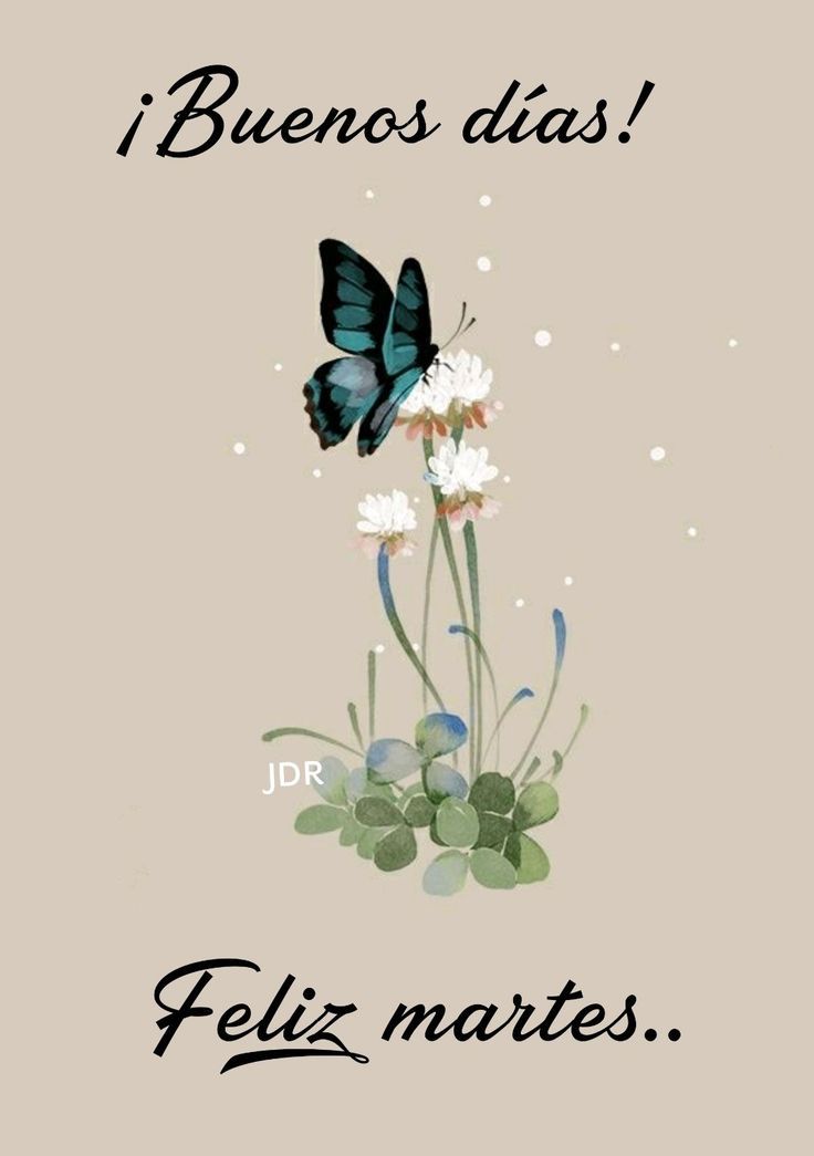 Les deseo un muy buen día a TODOS 😉🌷🌷🍀☕👌