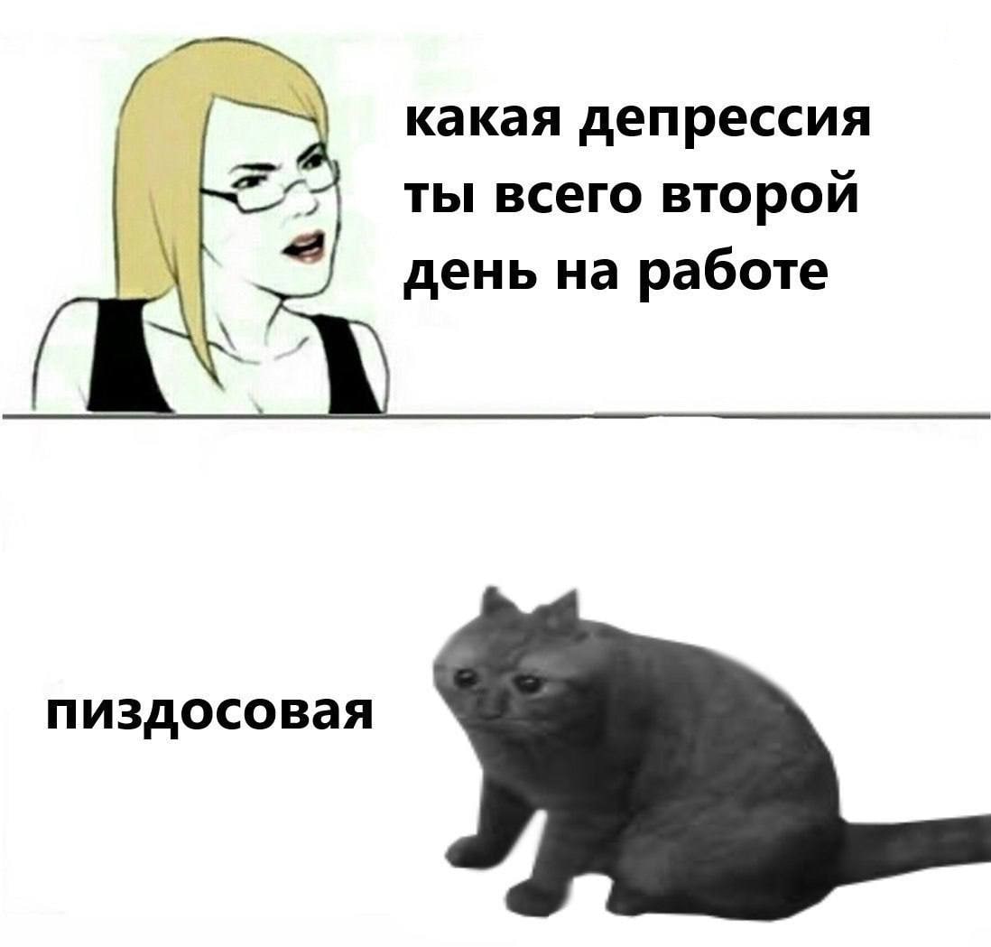 D0CT0EBCKNN's tweet photo. вторник https://t.co/CUQFOKkHVl