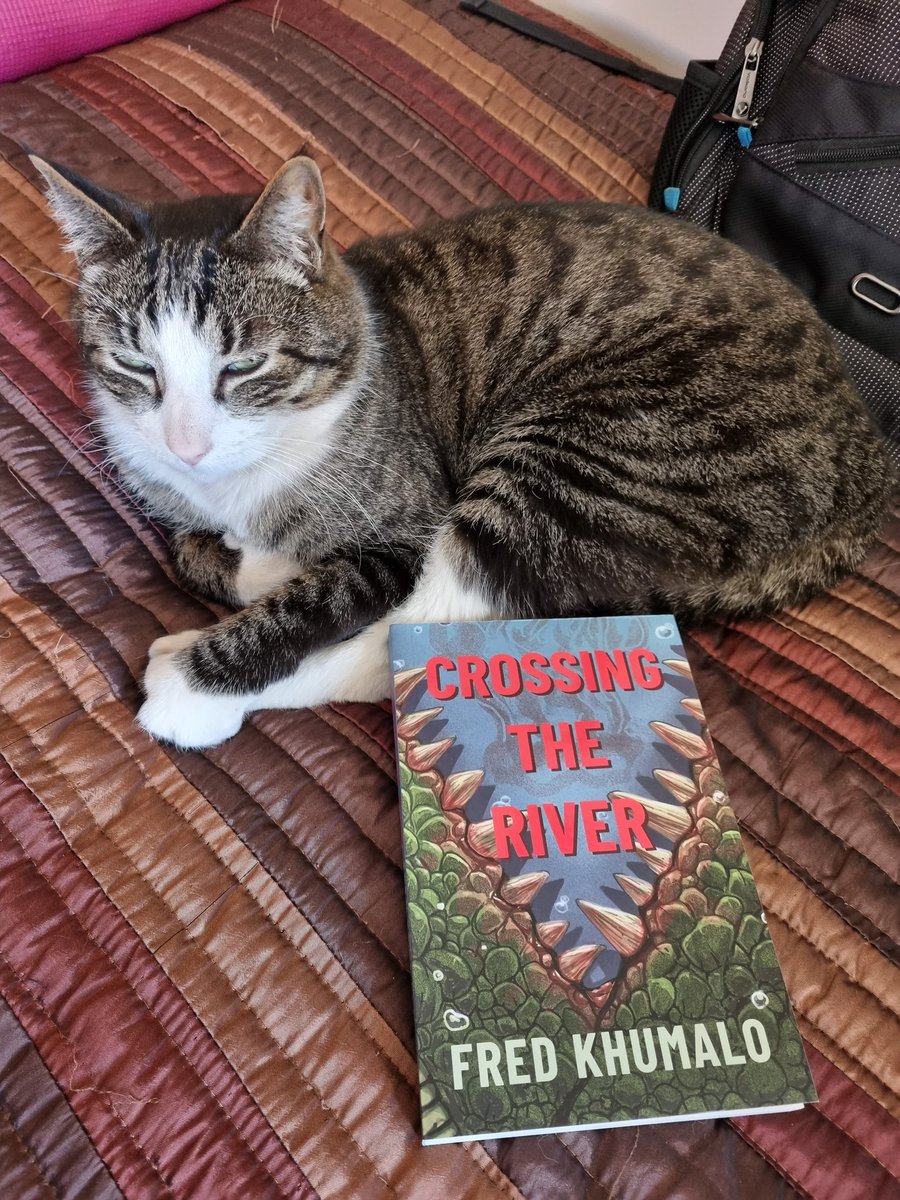pamelapower's tweet photo. Look what arrived for meeeeeeeee!!
No. Not Prince Nigel the cat.
#CrossingTheRiver the latest YA novel by my twin @FredKhumalo AKA Mr. Brad Pitt.
Can't wait to tuck in!
#newbookalert #youngadultbooks #readsa https://t.co/HksDC9c78r