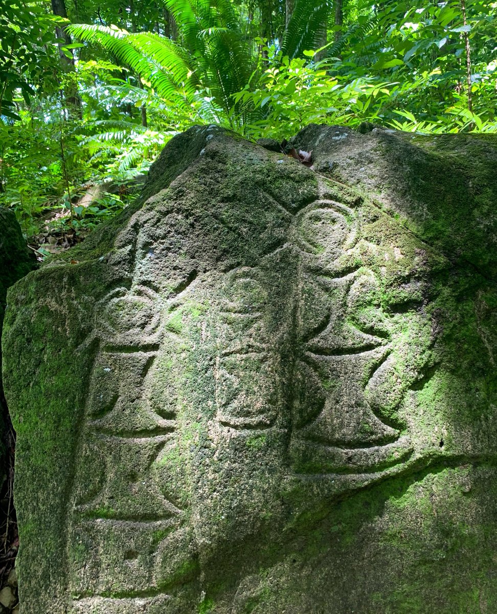 Stonefield_Res's tweet photo. POV: You're taking a scenic stroll to our magnificent petroglyphs 🍃 

Fun fact: The ancient rock carvings, a Saint Lucian historical landmark, forms the resorts logo. 

#stonefieldvillaresort #escaperelaxrejuvenate #saintlucia #naturetrails #petroglyphs #travelsaintlucia https://t.co/2b8RqWVprB