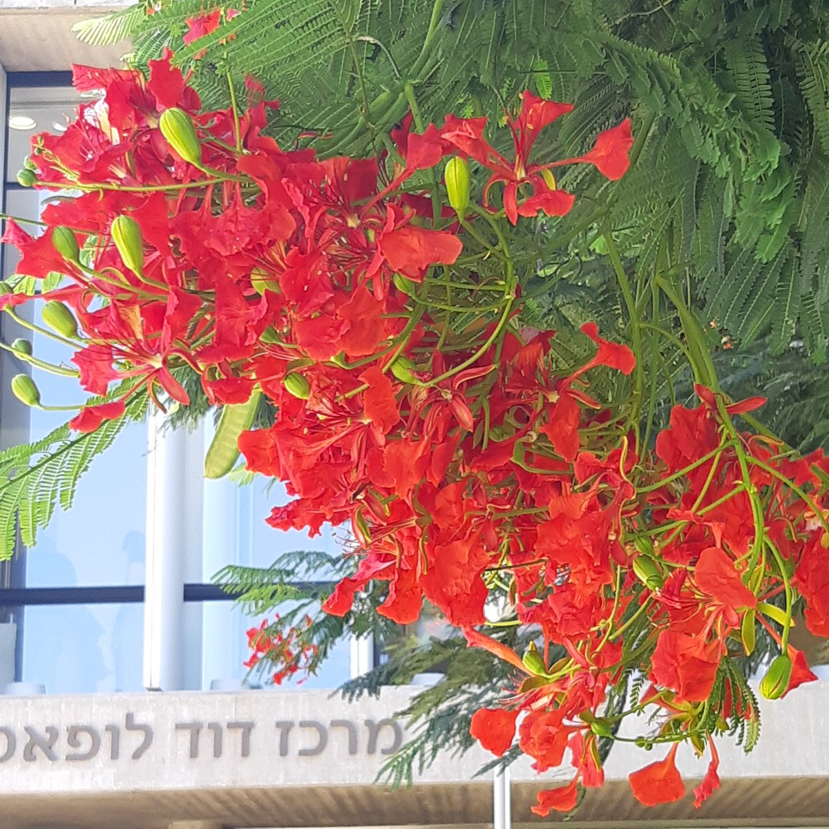 Katharina Imkeller tweet media