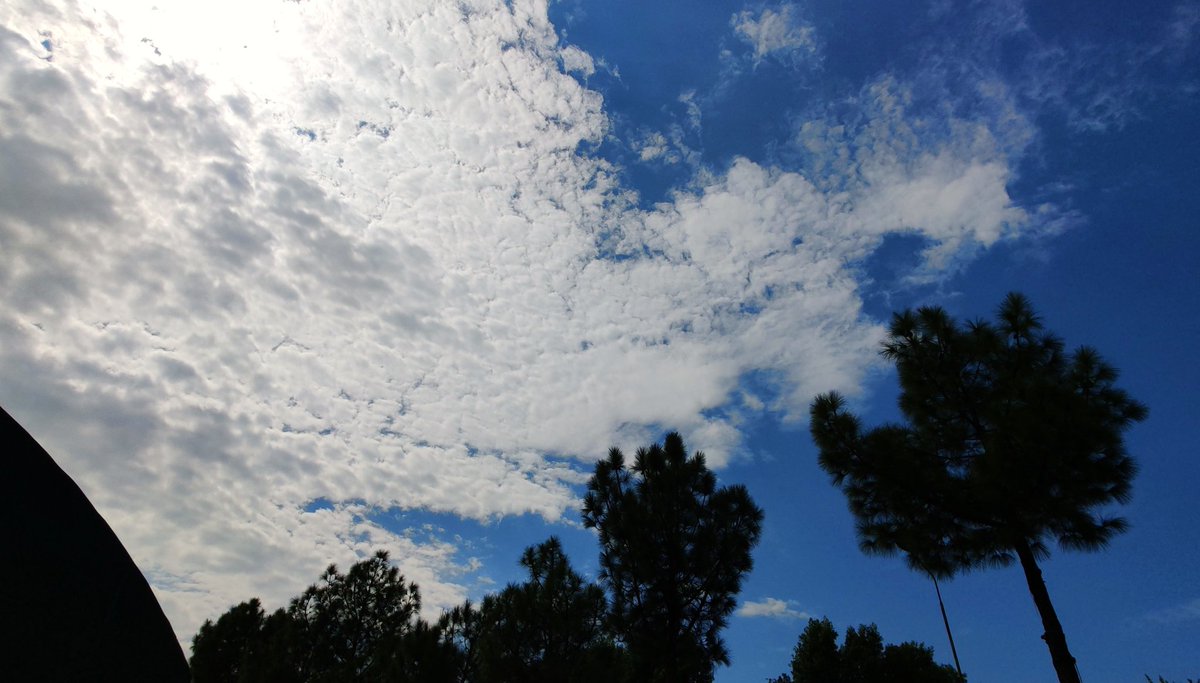 DrAhsan's tweet photo. Lovely Sky at Islamabad, Pakistan.
#Islamabad #Pakistan #BeautifulPakistan #clouds #sky #trees #day #Sun https://t.co/mWvcNJhGze