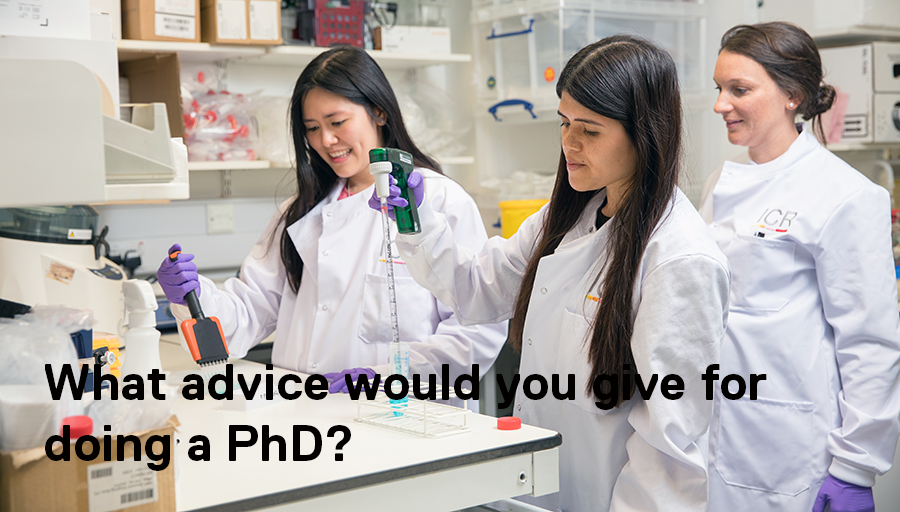 ICR_London's tweet photo. Don't forget to set a reminder for tomorrow's ICR #TwitterSpaceβ°
Three of our wonderful #CancerResearch #PhD students will be sharing their advice for doing a PhD ahead of our studentships opening in October!
#PhDPositions #PhDChat #SciencePhD https://t.co/IiqBkoaM9P