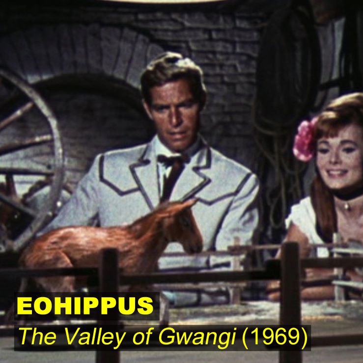 Ray_Harryhausen's tweet photo. The Eohippus from 'The Valley of Gwangi' (1969)- a truly breathtaking creation. The delicate nature of this creature has always been an interesting counterpoint in a film that features so many dramatic dinosaur sequences #rayharryhausen #thevalleyofgwangi #stopmotion #eohippus https://t.co/lrOgWpjqFQ