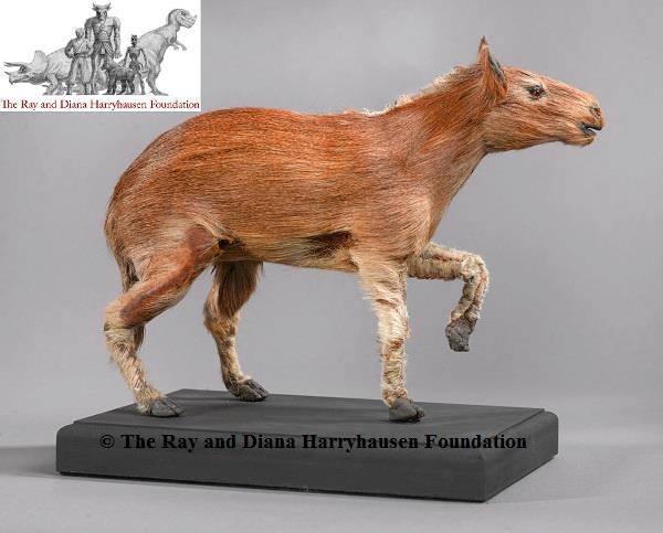 Ray_Harryhausen's tweet photo. The Eohippus from 'The Valley of Gwangi' (1969)- a truly breathtaking creation. The delicate nature of this creature has always been an interesting counterpoint in a film that features so many dramatic dinosaur sequences #rayharryhausen #thevalleyofgwangi #stopmotion #eohippus https://t.co/lrOgWpjqFQ