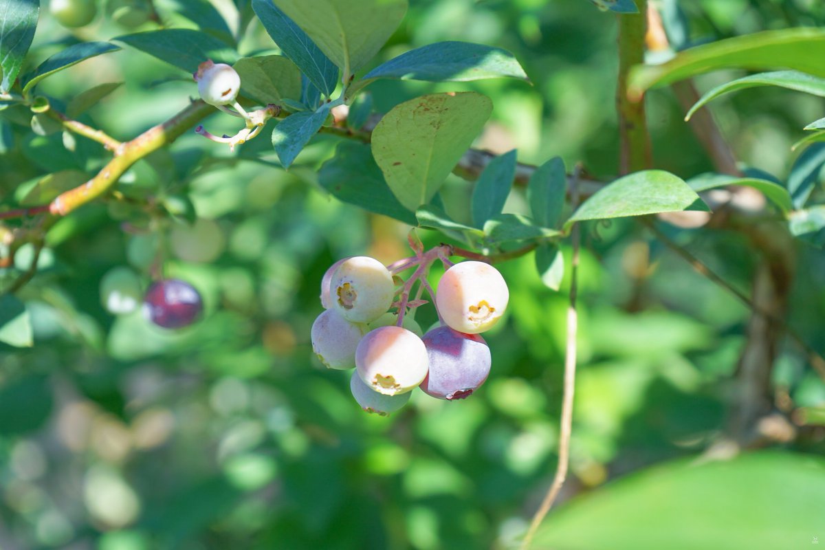 #아미트친소 
05년생 🐱🌿
옛날계정 찾은 기념 트친소 💜💭
좋은 트친분들 많이 사귀고 싶어요 ♡
알티 괄 마음 눌러주시면 뎀까지 갈게요😊