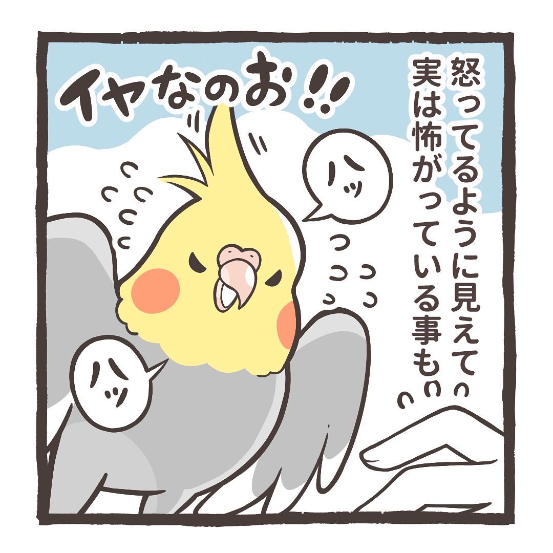 鳥野ニーナ マンガ連載中 Sinamomomomo Twitter