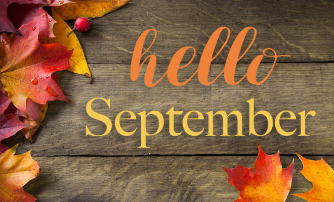 Sapentia_Odoo's tweet photo. As we all welcome September to our diaries, is it time to have a review of your business systems?
Odoo has many apps that can save you time on the school run!
#Odoo #business #apps #warehousing #support #CRM #BespokeBusinessSoftware #BusinessSystems #BusinessSoftware https://t.co/AmdoorLr8v
