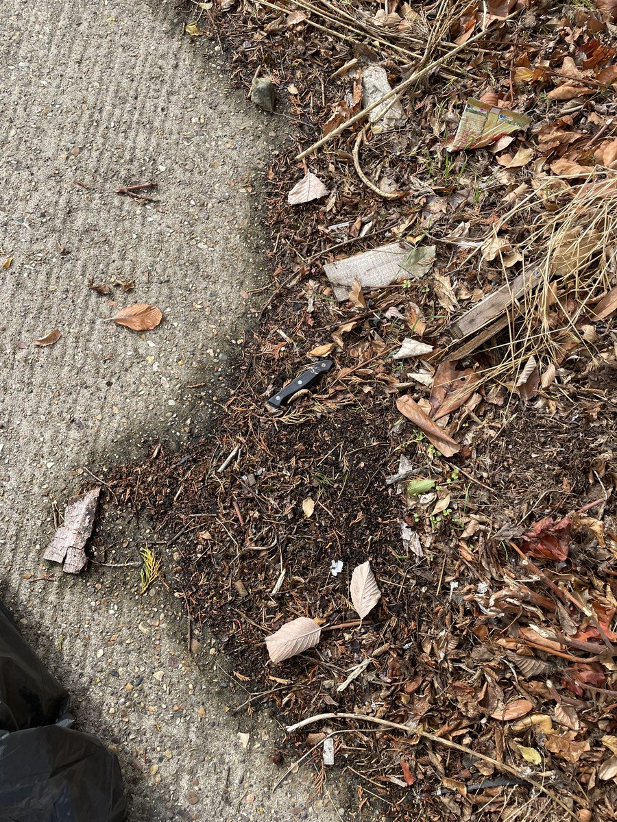 SandyA13's tweet photo. @CastlePointBC When the residents have made numerous requests for this to be cleared + you end up having to do it yourself using your own garden waste bin that you charge for. Found a broken knife in there. My kids play out here! Please come and sort the rest and re curb it! https://t.co/dwmWhN7dC6