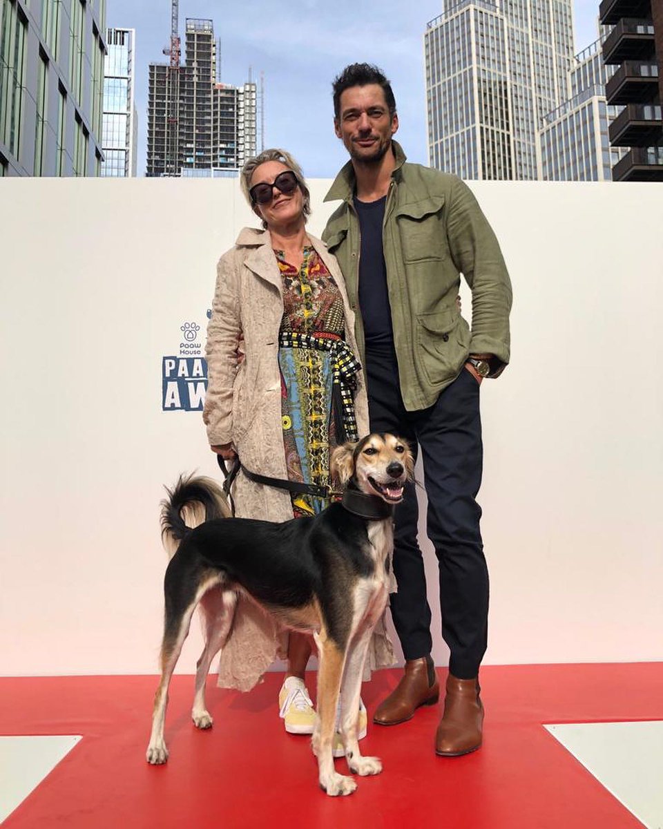 Wild at Heart Foundation tweet media