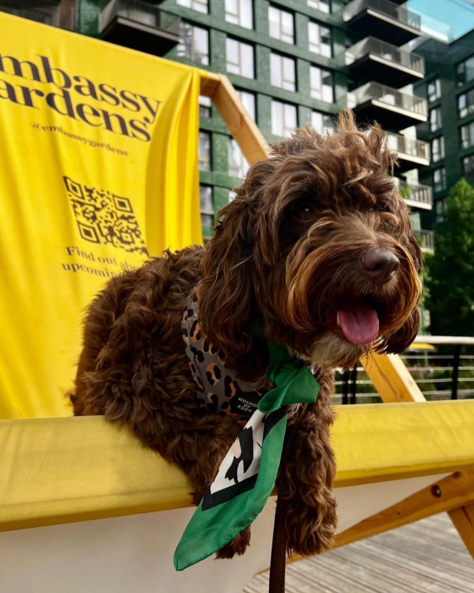 Wild at Heart Foundation tweet media