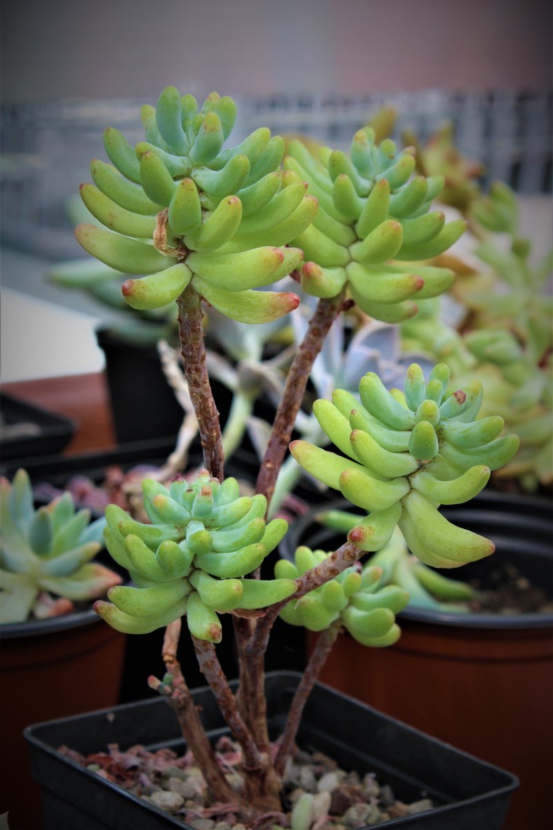 Community Toolbox tweet media