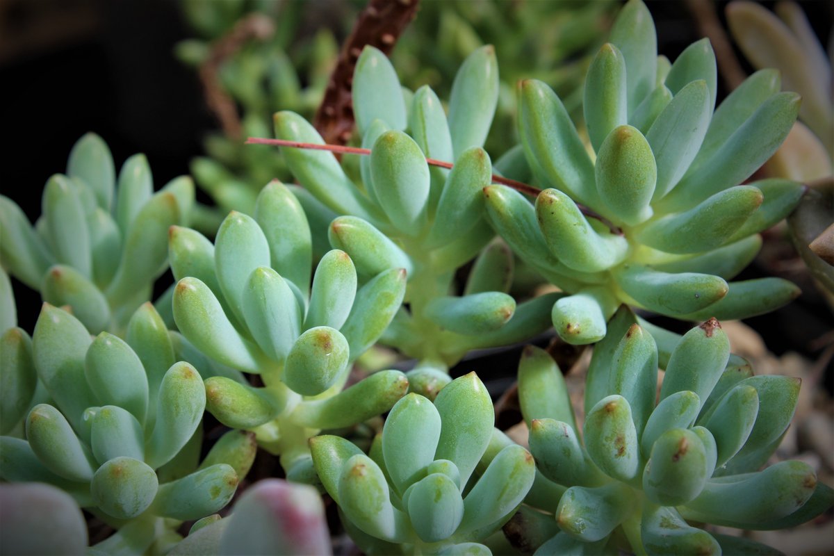 Community Toolbox tweet media