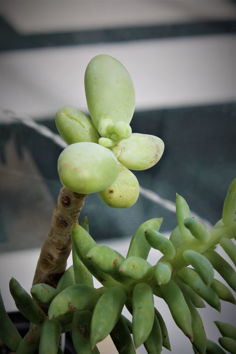 Community Toolbox tweet media