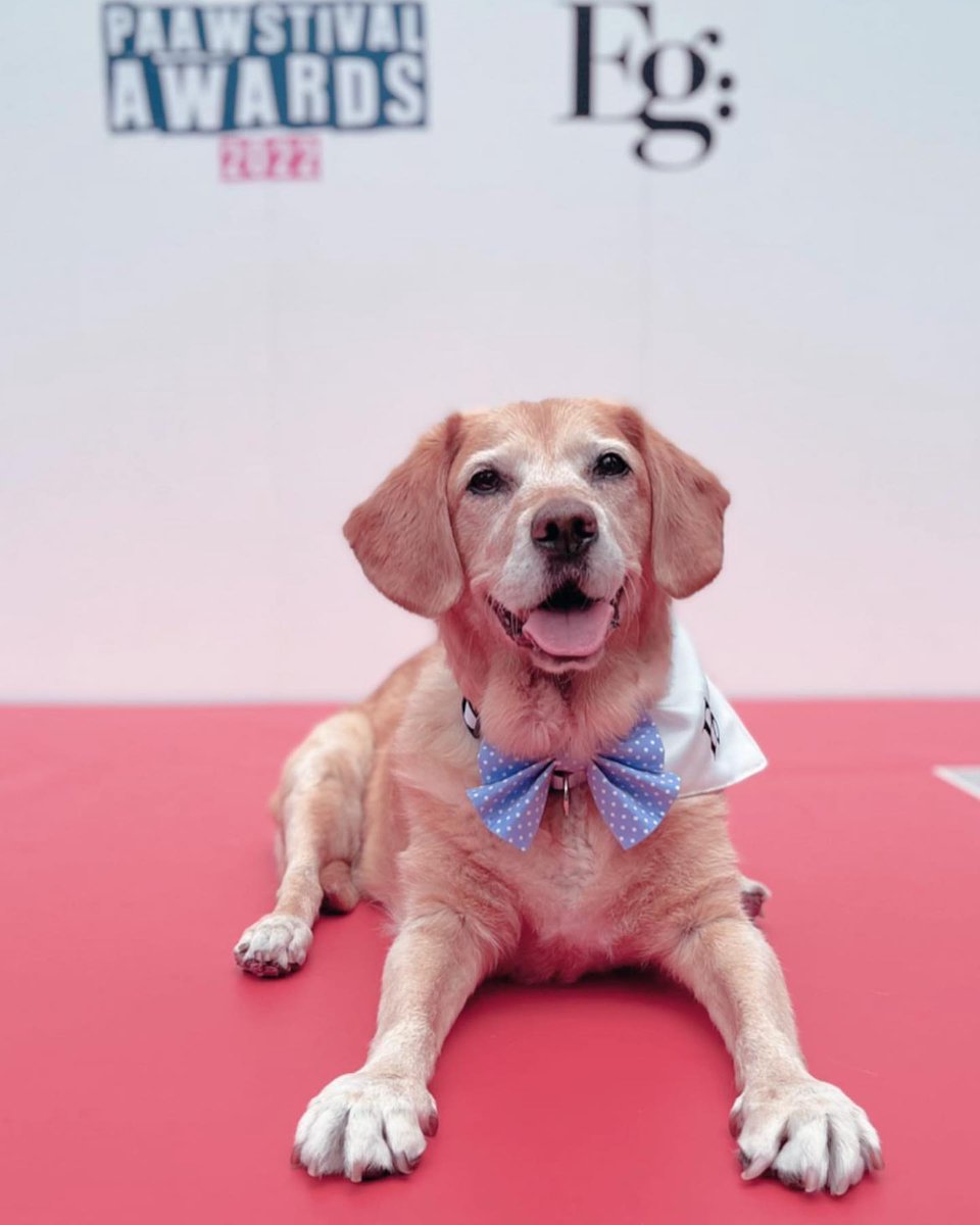 Wild at Heart Foundation tweet media