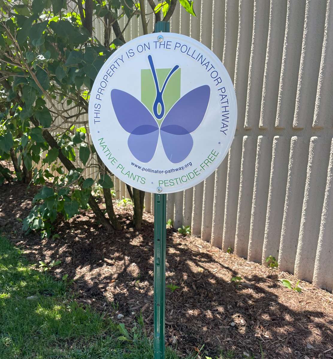 bigelowtea's tweet photo. Some pollinators spotted in our Pollinator Pathway! #bcorp #pollinatorpathway https://t.co/vEy2h3DBmi