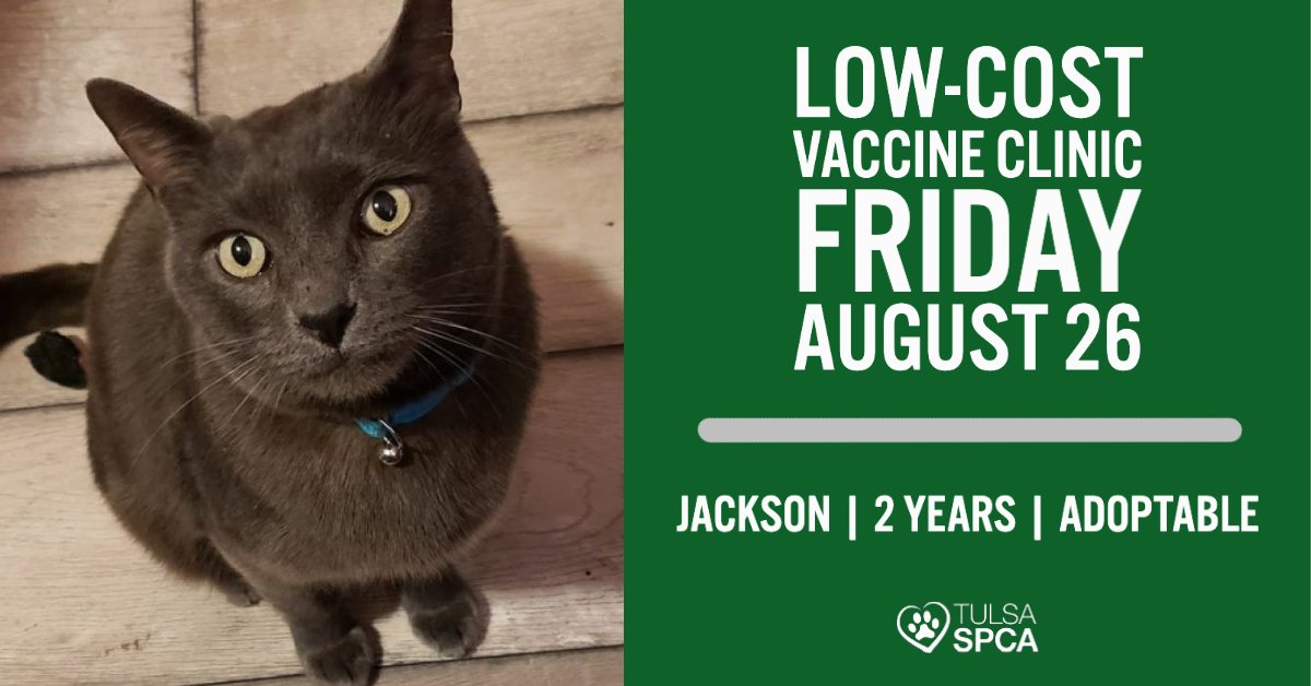 Tulsa_SPCA's tweet photo. The Tulsa SPCA Low-Cost Vaccination Clinic will be open tomorrow (8/26) from 9:30am-3:30pm (closed 12:30-1:30pm). First come, first served. Services and pricing can be found at https://t.co/8D6WSMb8fW. Hope to see you there! #healthypets #tulsaspca https://t.co/eMuIaxCiIr