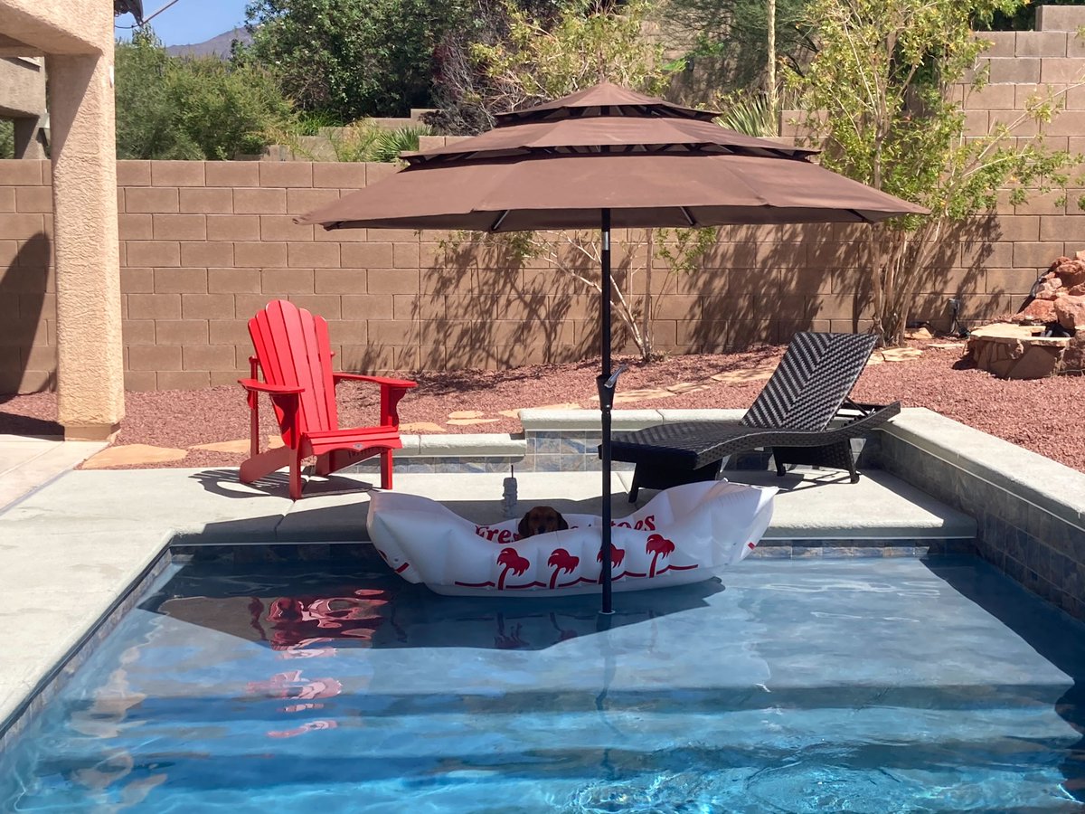 HeyGovApp's tweet photo. #FunFriday 🤩

Chris Astrella fur kid, Thumper, is living his best life this summer! 😀

#HeyGovCommunity https://t.co/zBrcRU2HYN