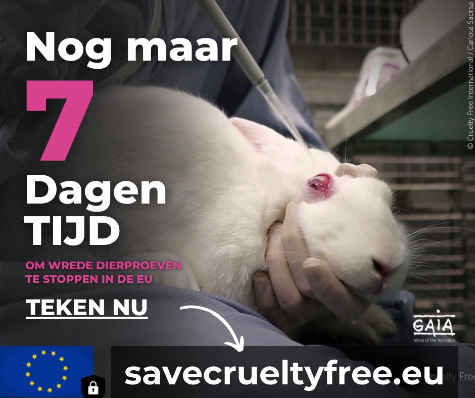 🐰💉👨‍🔬❌ Elke dag worden in de EU meer dan 28.000 dieren gebruikt in laboratoria 👉 Teken nu om daar een eind aan te maken: savecrueltyfree.eu
#UseScienceNotAnimals #EndAnimalTesting #SaveCrueltyFreeCosmetics