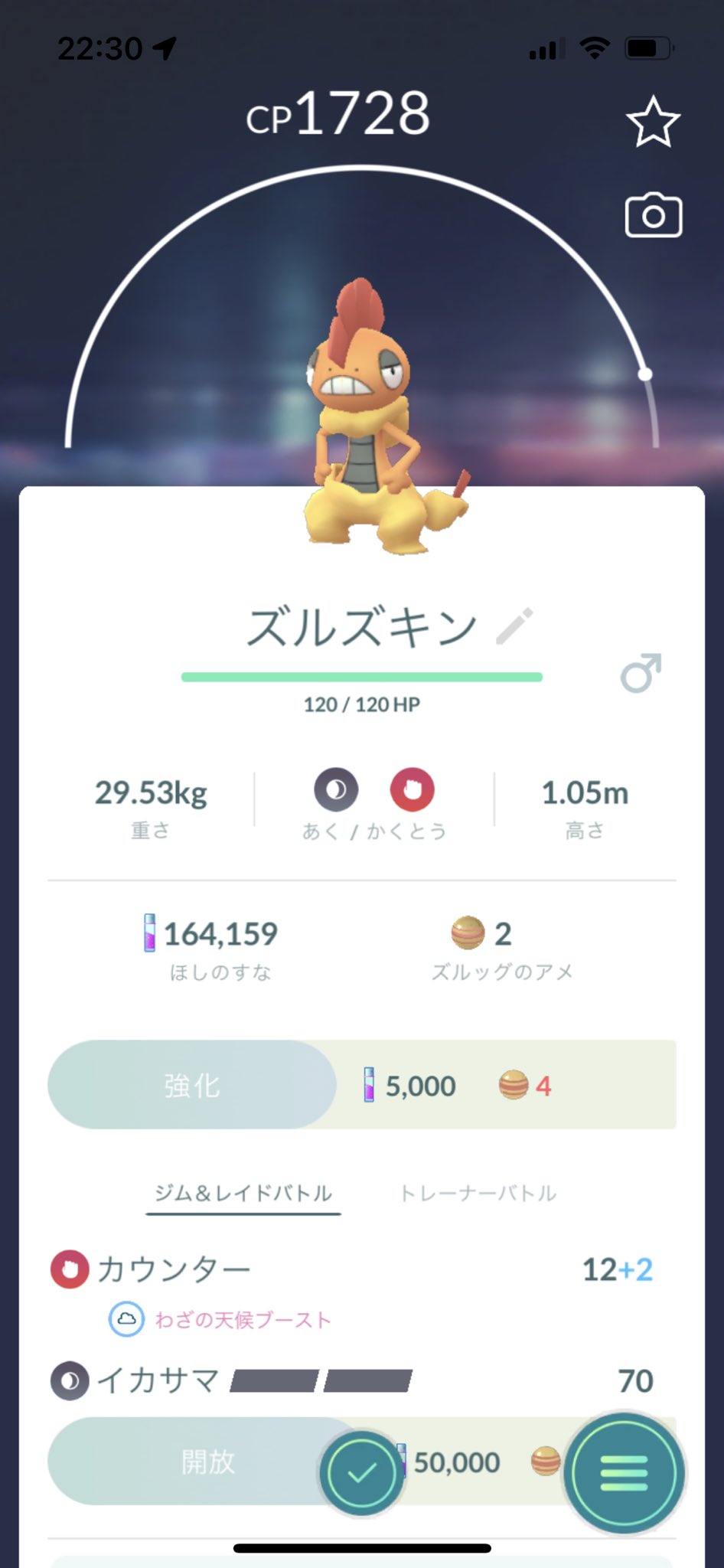 トドゼルガ Twitter Search Twitter