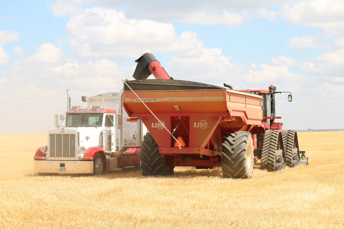 Two Track Malting tweet media