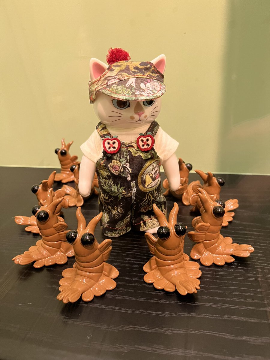 ニャンコとアノマロ の展示も後半になってまいりました。 是非ずらりと