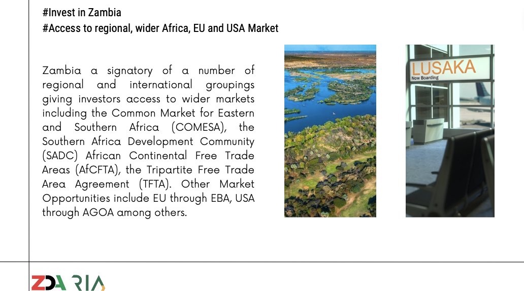 COMESARIA's tweet image. #InvestinCOMESA #InvestinZambia #COMESA #COMESARIA #Zambia #ZDA