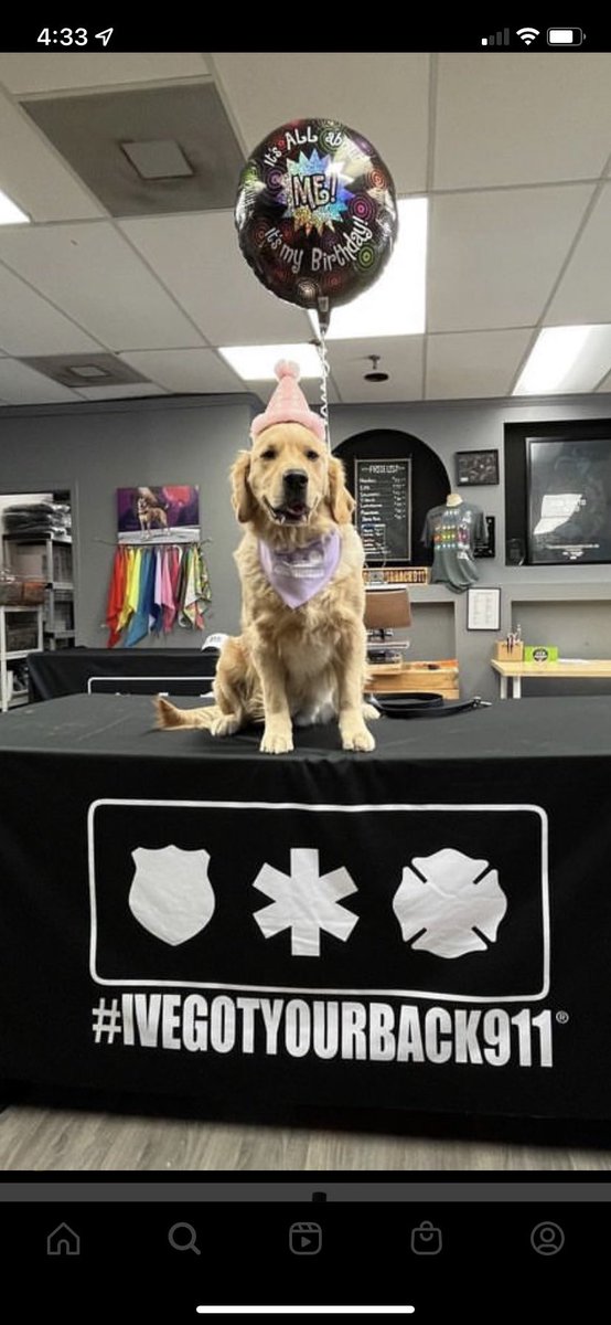 NathanCook20's tweet photo. @CBC Meet Peach!!  She’s a trained therapy dog that visits first responders in London and St. Thomas ON! https://t.co/o7j3davt5x