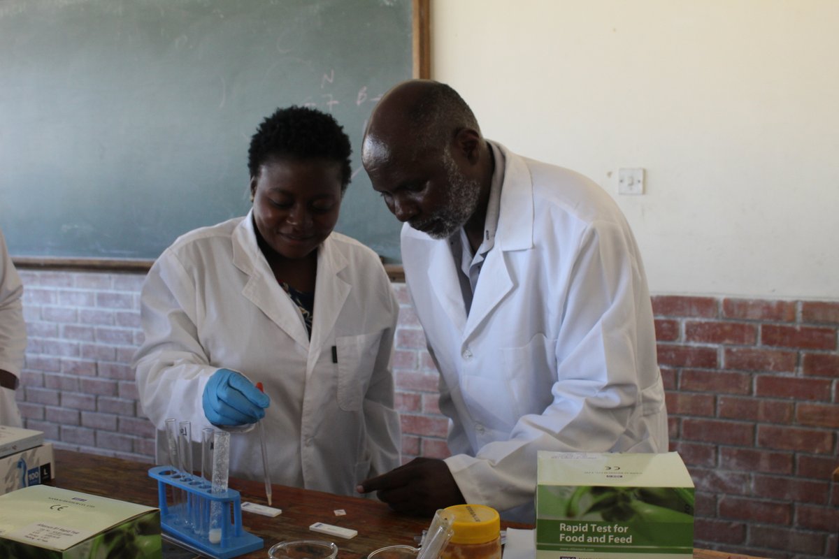 faosfsafrica's tweet photo. Thanks to @euinzim funding FAO is strengthening the capacity for science based food inspection in Zimbabwe 🇿🇼.

45 food inspectors are being trained on how to use Food Inspection Kits and Rapid test kits to test for Aflatoxins B1, Salmonella, E.coli and Listeria in food. https://t.co/yE8cKYBdzc