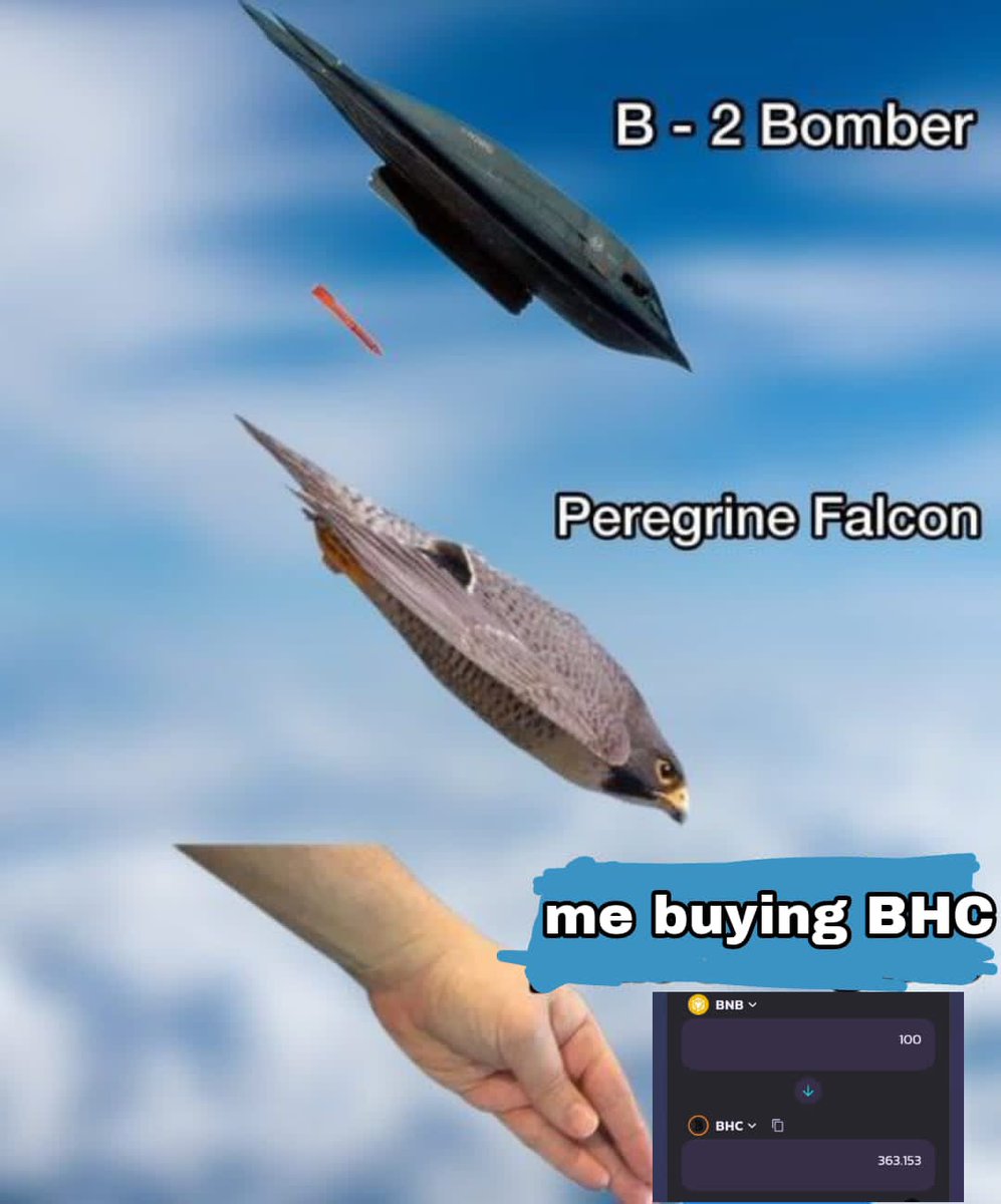 dann_y2002's tweet photo. @BHC_Happiness Buy...buy...buy... https://t.co/4l1kTyuVrz