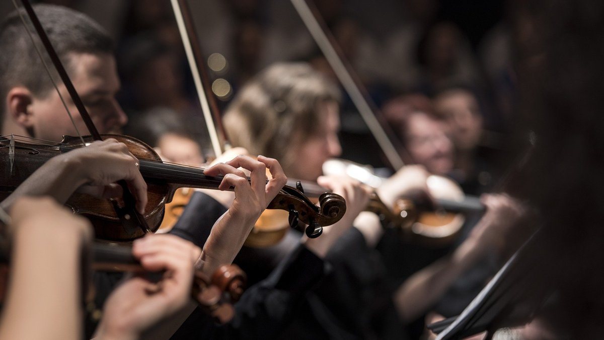 LifeRooms_MC's tweet photo. Did you know... we run a number of sessions with @liverpoolphil including #SuperSing and #MusicPromoters 💚🎵
Take a look at our timetables to find out more: https://t.co/lkk6KAtxwp https://t.co/FVfY6NhprH