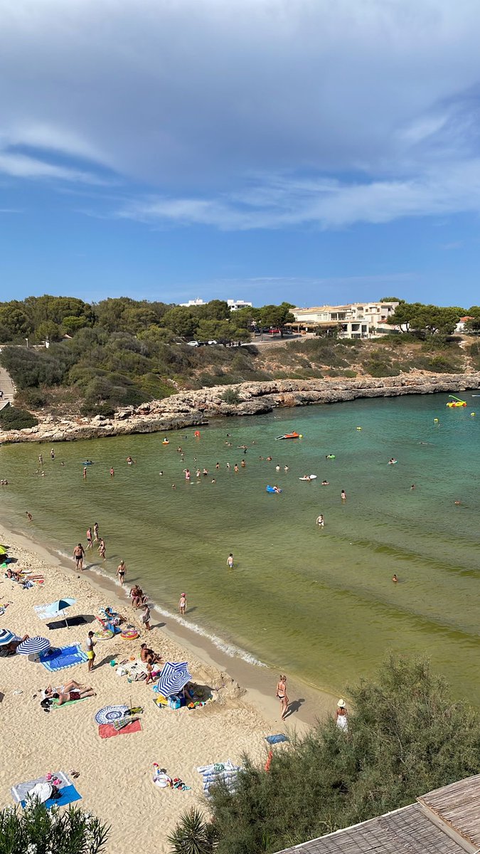 JOliverBen's tweet photo. Hola @AjFelanitx, ara mateix així està Cala Marçal…que hem de fer amb això? https://t.co/OGx4GQPP4y