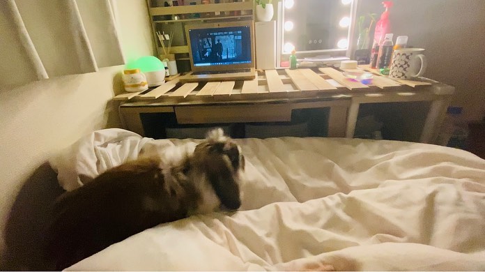 Shizu07475's tweet photo. 皆さん、おやすみなさい。 🖐
電気を消す時間です。
#night #goodnight #sleepy #gotosleep #japan #nightfeel #relaxing #japan #japan https://t.co/M1fC8u4esI