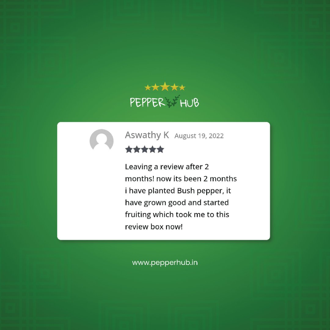 hubpepper's tweet photo. Hearing back from you is always a happiness! ❤️ Thank you Aswathy K.
Your satisfaction and happiness is what keeps us motivated in providing you the better services everytime.
Proud to bring more people trying to cultivation. 💚
#pepperhub #happycustomers #farming #agriculture https://t.co/j9ndaMtp0d