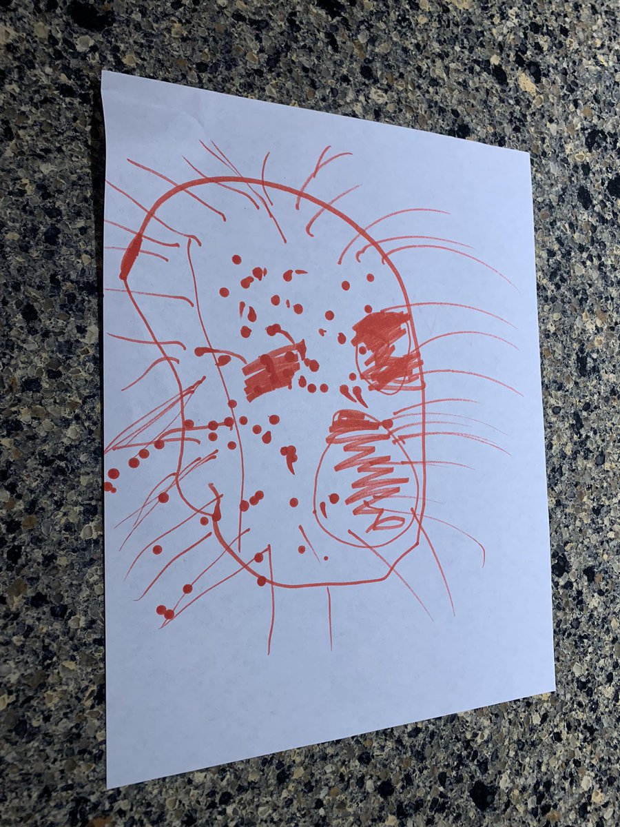 brookster29's tweet photo. Some of Willa’s most recent art. She certainly has a distinct vibe 😱 https://t.co/p8TL7vIcw6