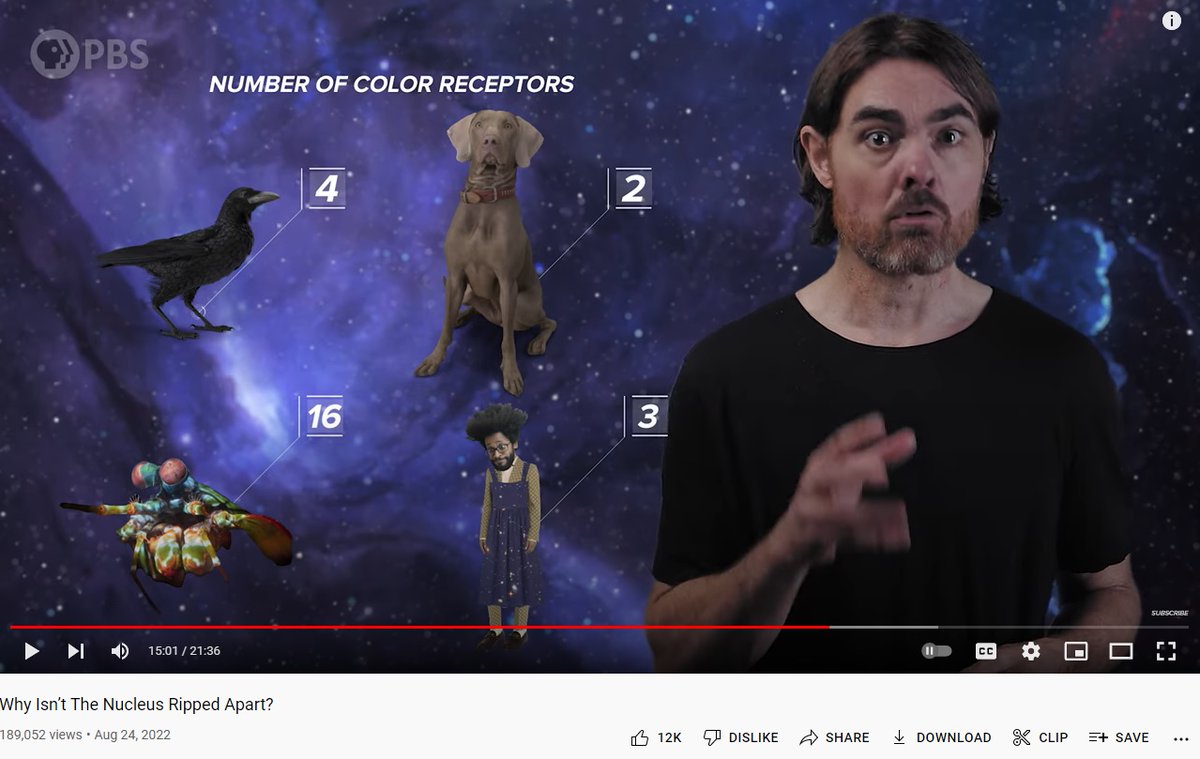 arnorrian's tweet image. Relevance of dog color vision to atoms not ripping apart. #PBSSpacetime