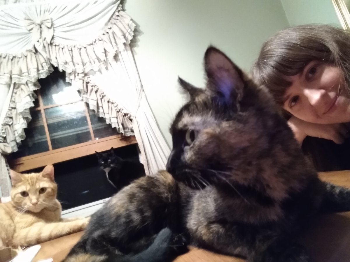 It's the weekend, but more importantly, it's #Caturday! Check out some of our staff's feline friends.