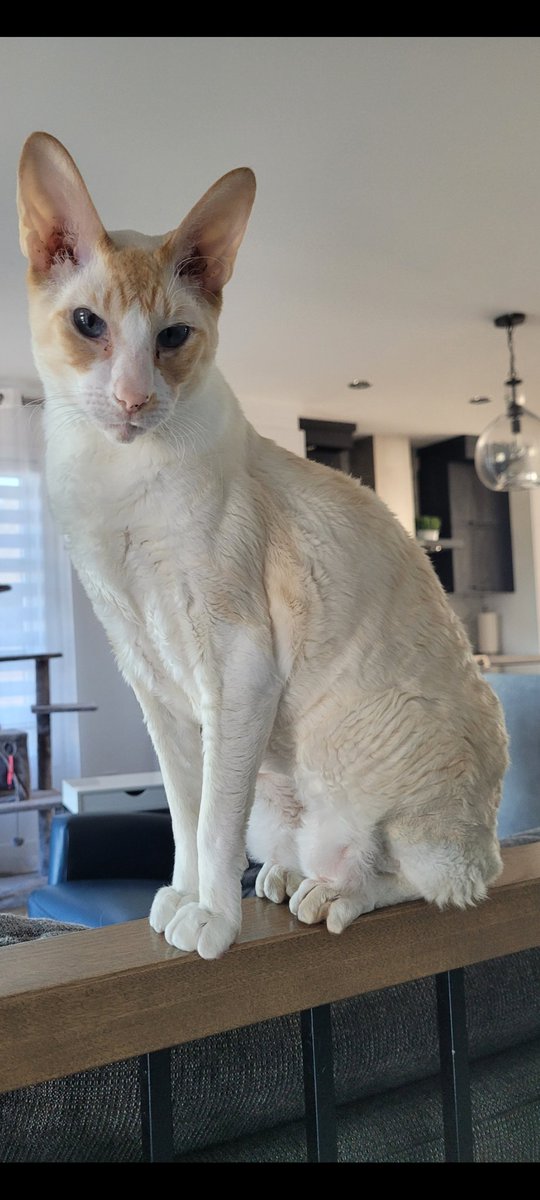 Ericbid's tweet image. C'est la fête à ma fille aujourd'hui,  5ans. Elle est petite ,fragile et maladroite. Elle est traitée comme une princesse.