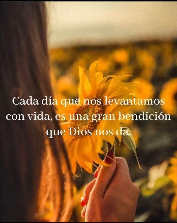 Elia Vivar Vargas (@vivarelia) on Twitter photo 