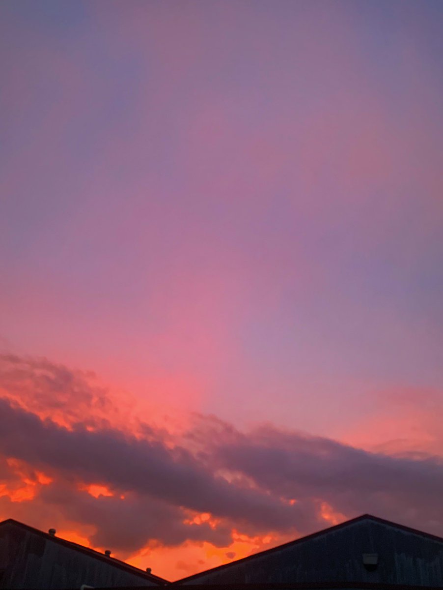 Carlos Bracho tweet media