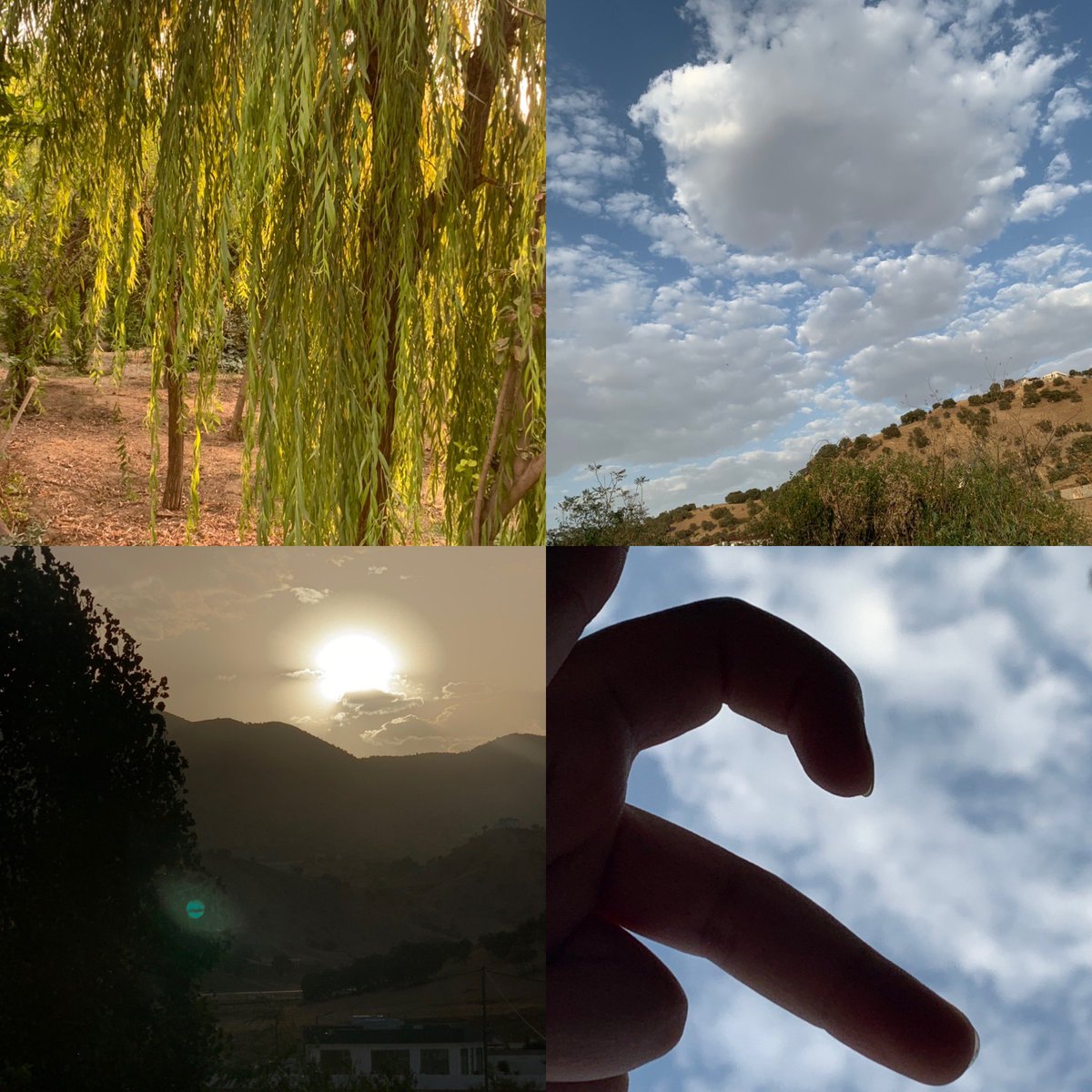 RONYA_RR99's tweet photo. سرووشت دوور لە ناو شار.🥹🌿!
#sitak #nature https://t.co/k8VUc03Rtw
