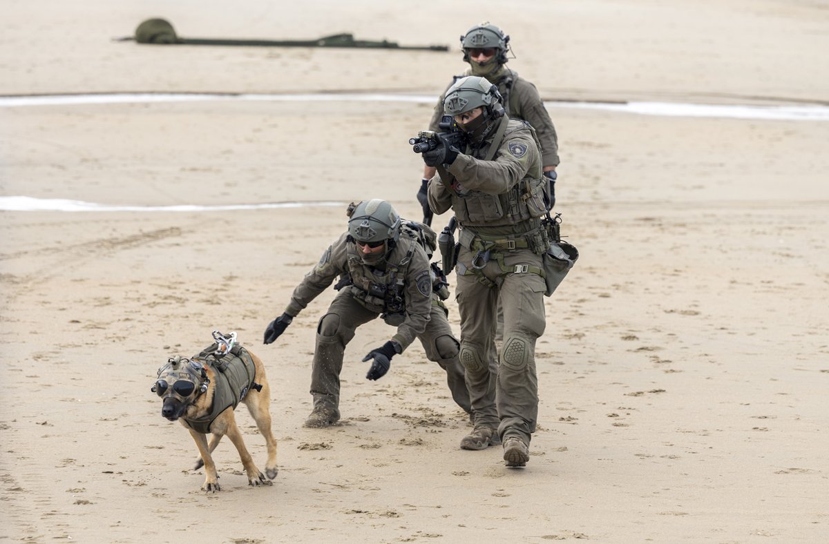 federalepolitie's tweet photo. Kom jij ook morgen genieten van de kunsten van onze honden en hun baasjes op de K9-day in Koksijde? Meer info via https://t.co/DMLAl8I9fZ 🐕 https://t.co/pYVCL5mNSD