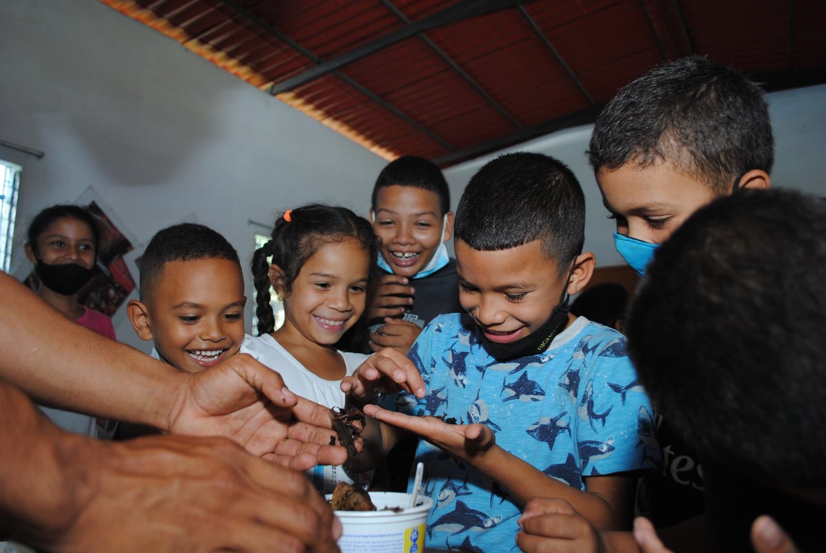 FundaciteYara's tweet photo. Este 24/08, niños y niñas del Plan Vacacional “Aventuras en Vacaciones” de la comunidad “San Javier” del mcpio. San Felipe, recibieron el taller de Semillas, Extracción de Semilla y Abono Orgánico (Lombricultivo) impartido por la dirección de redes de @FundaciteYara #PoderInnovar https://t.co/sPz5MdOgVA